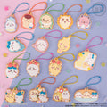 Chiikawa Cookie Mascot Figure Keychain Blind Box